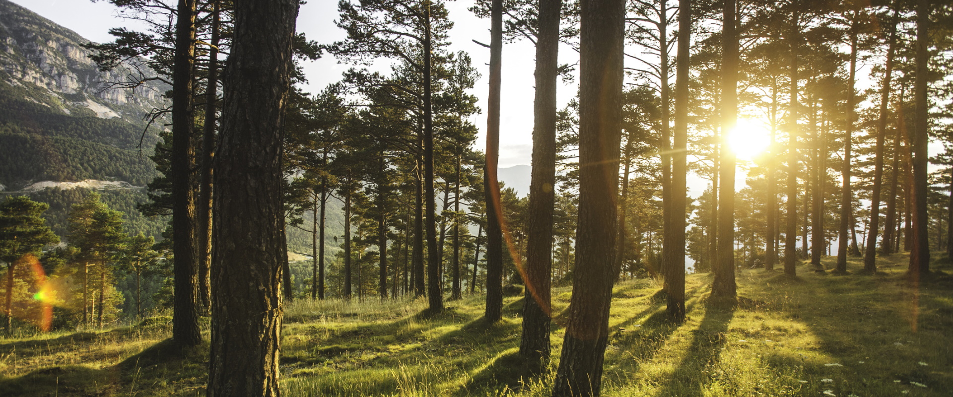 SONAE Improving Life Sonae