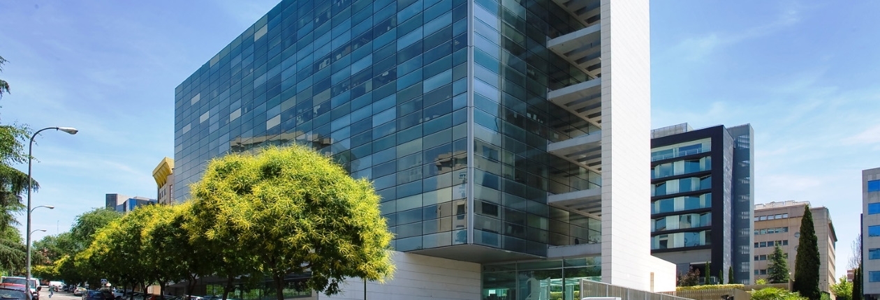 SONAE office