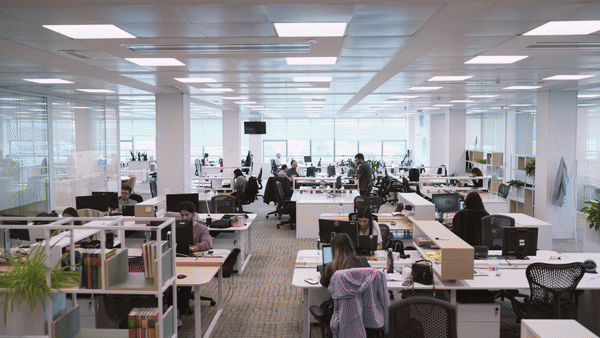 SONAE office